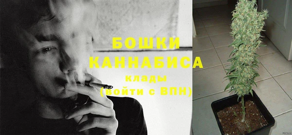 бутират Богданович