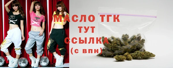 твердый Богородицк