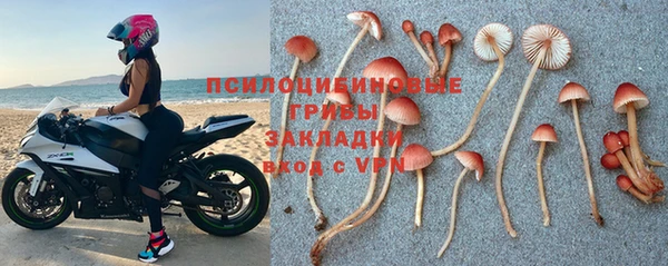 бутират Богданович
