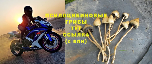 твердый Богородицк