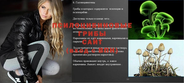 бутират Богданович