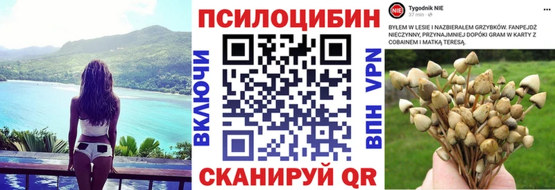 купить наркоту  Кузнецк  Галлюциногенные грибы ЛСД 