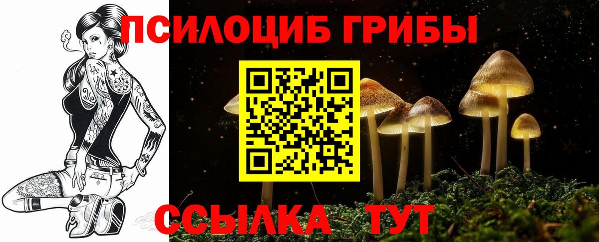 Галлюциногенные грибы GOLDEN TEACHER  Вход с VPN  Кузнецк 